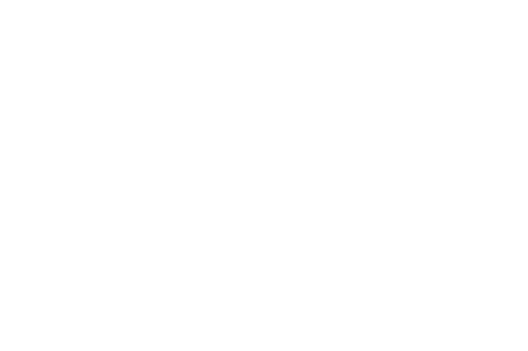 Winner Award of Merit IndieFest Film Awards